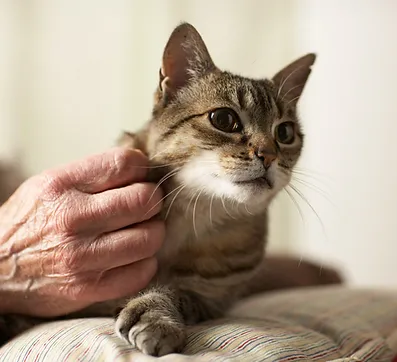 Empresa de limpieza en Cartagena 17 svg%3E