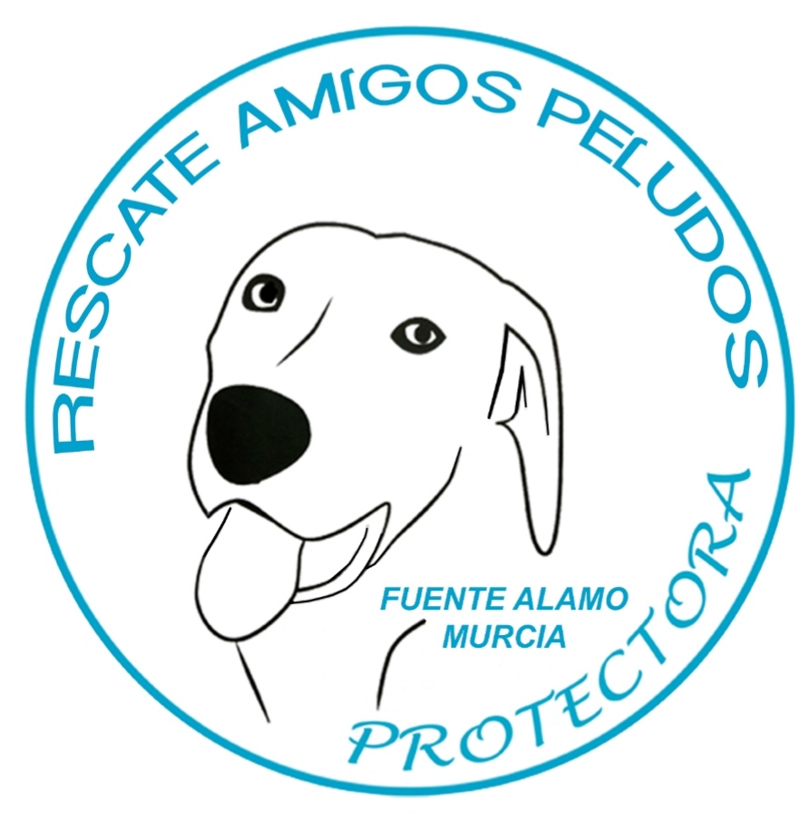 Empresa de limpieza en Cartagena 12 svg%3E