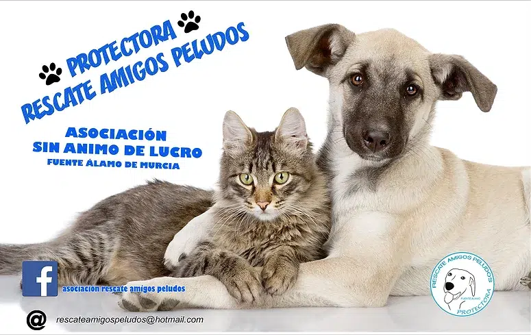 Rescate Amigos Peludos protectora de animales